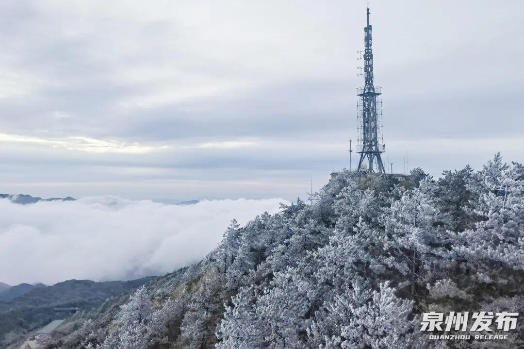 断崖式降温！最低3℃！福建一地迎来首场雾凇