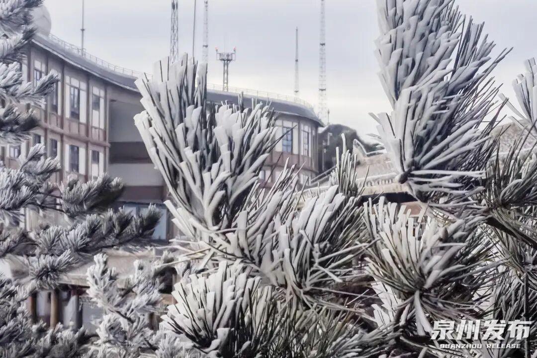 断崖式降温！最低3℃！福建一地迎来首场雾凇