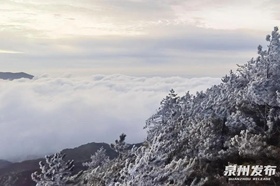 断崖式降温！最低3℃！福建一地迎来首场雾凇