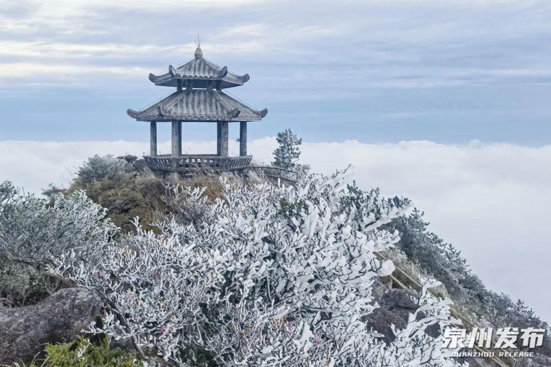 断崖式降温！最低3℃！福建一地迎来首场雾凇