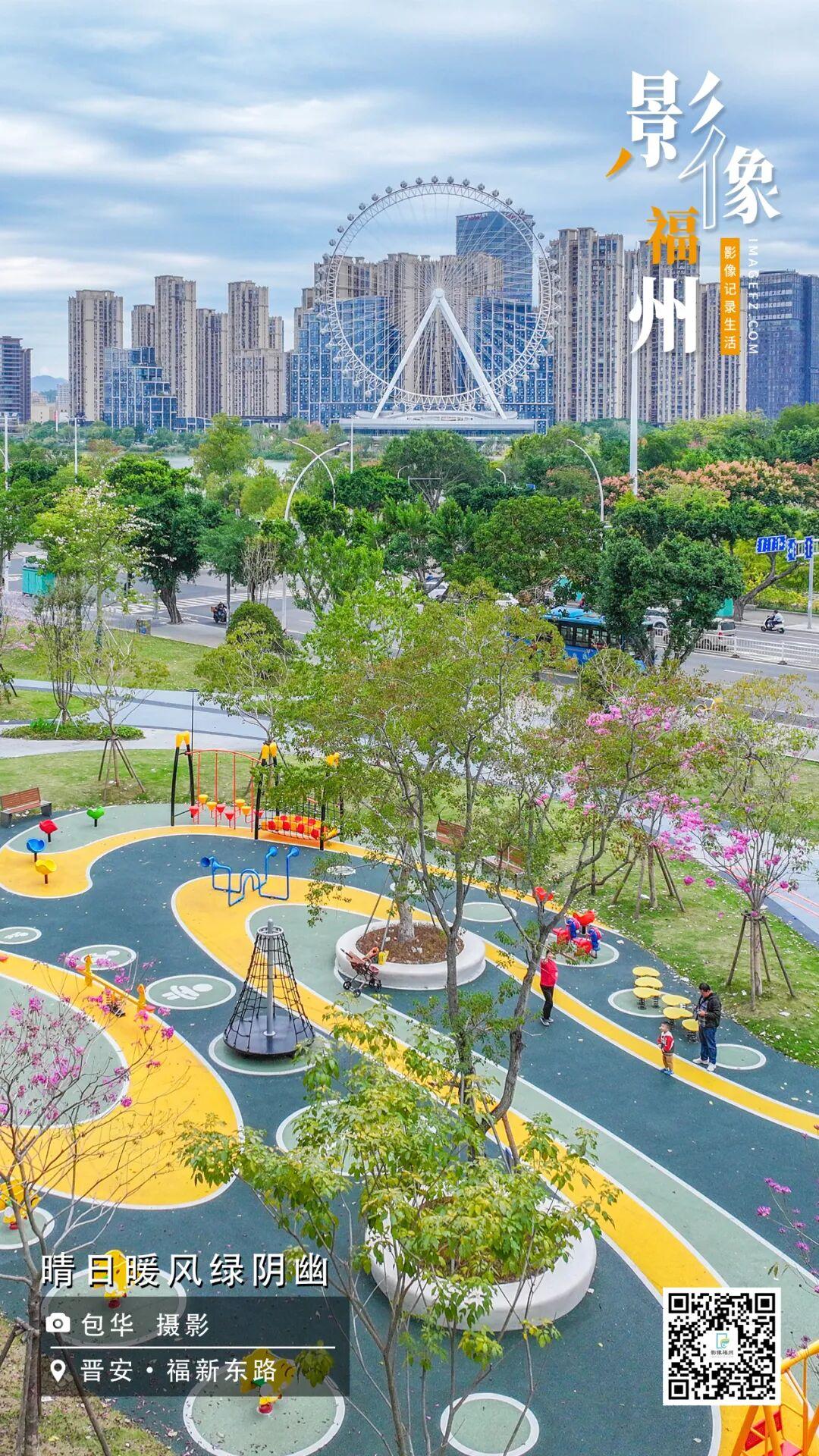 影像福州丨晴日暖风绿阴幽