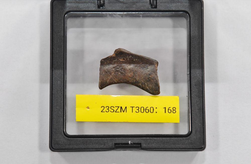 镜观·回响｜巴风蜀韵承古脉 千年文华耀西川