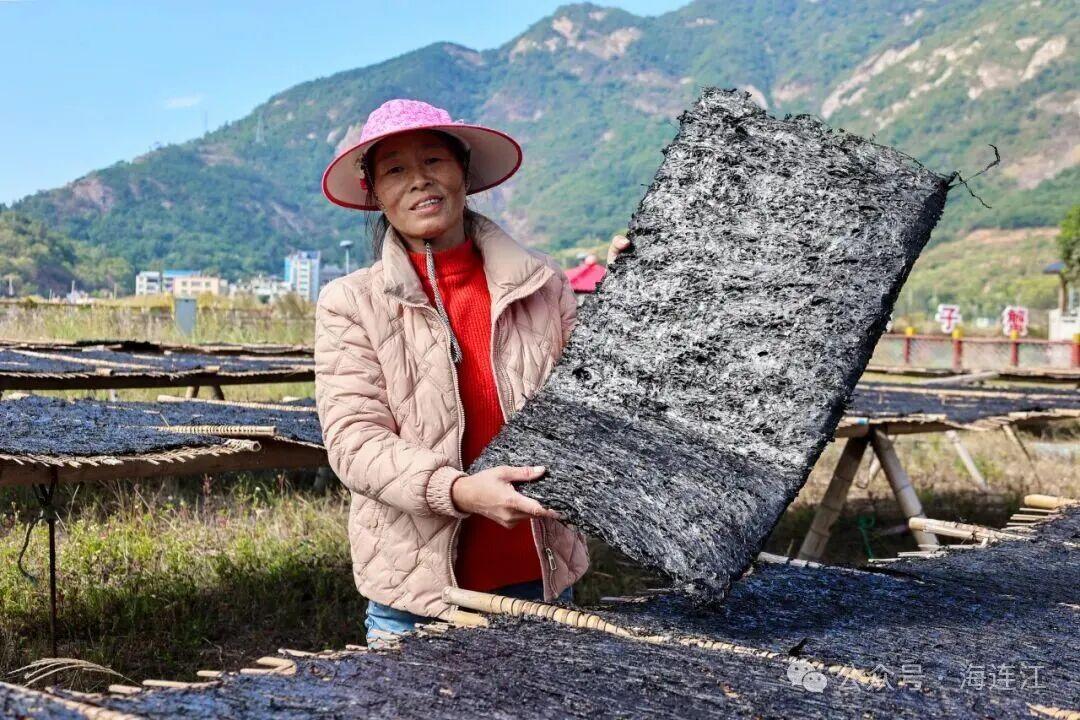 有口福了!连江“头水”紫菜大量上市 有口福了!连江“头水”紫菜大量上市