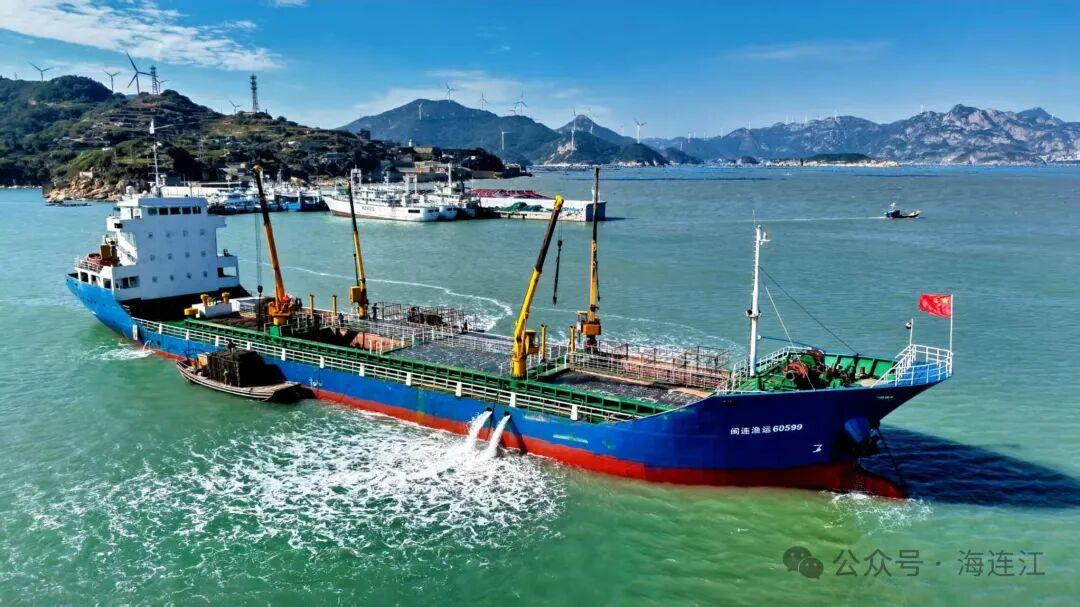 连江8亿粒鲍鱼“避暑”归来