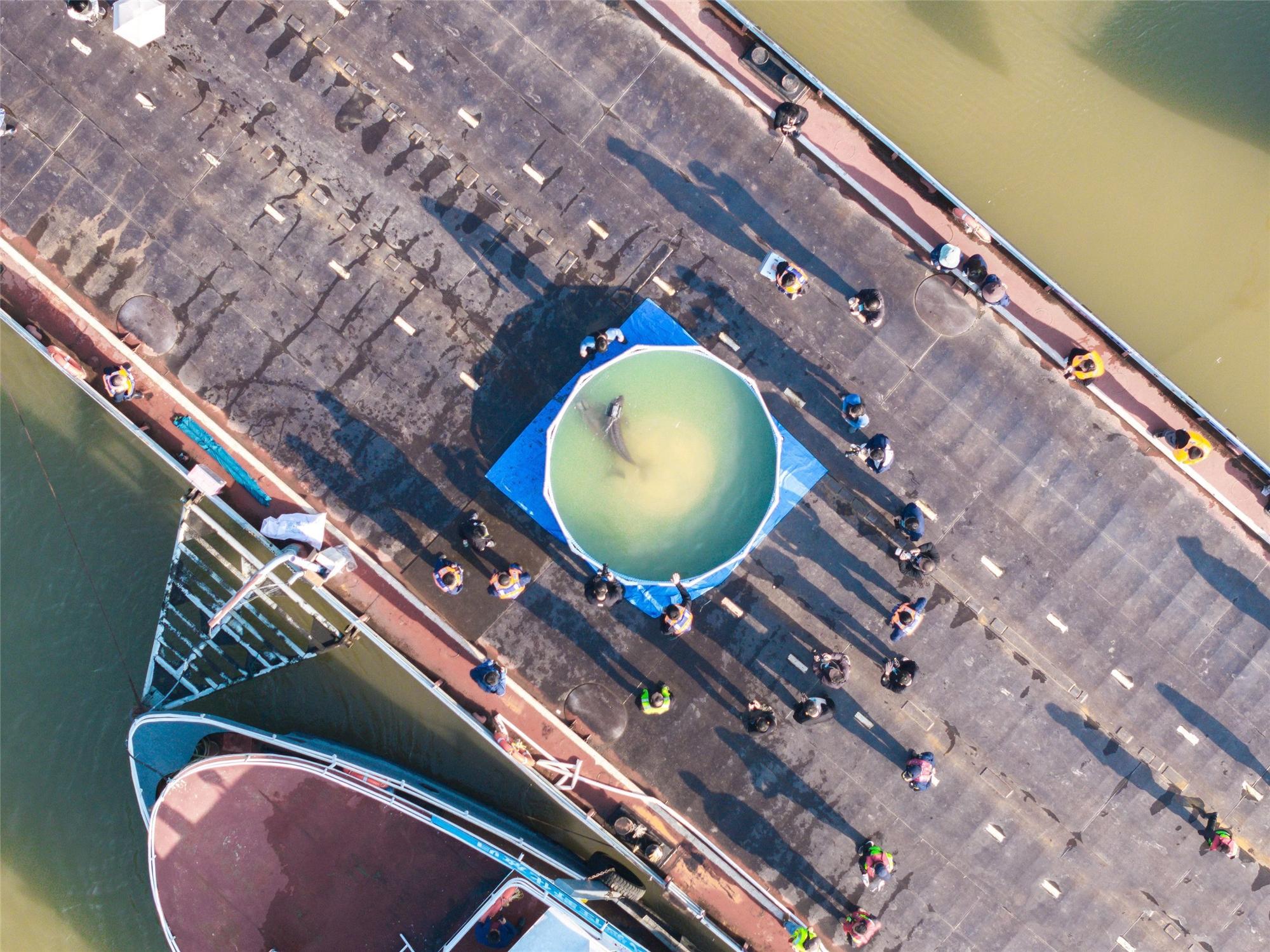 总书记关切事丨以奋斗之笔 答硬核之卷