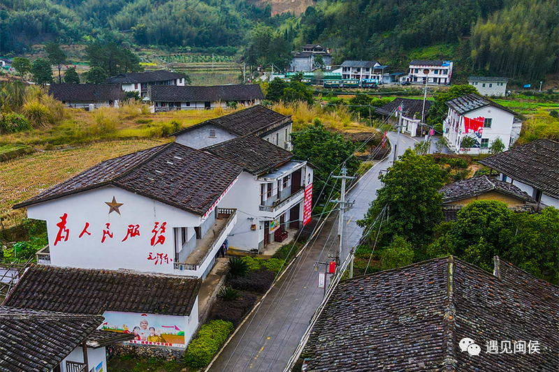 县在发生｜在稻田里开唱！闽侯这场稻田音乐会大有看头！