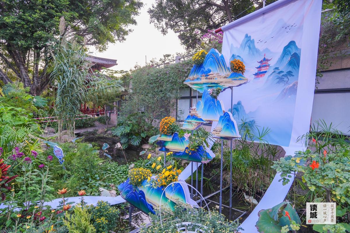 读城｜小雪时节醉花香！晋安河畔这场菊展和朱熹有关……