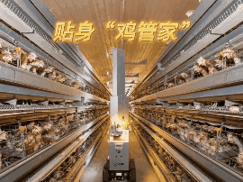 “新”中有数｜厉害了！看“福州造”机器人十八般武艺！