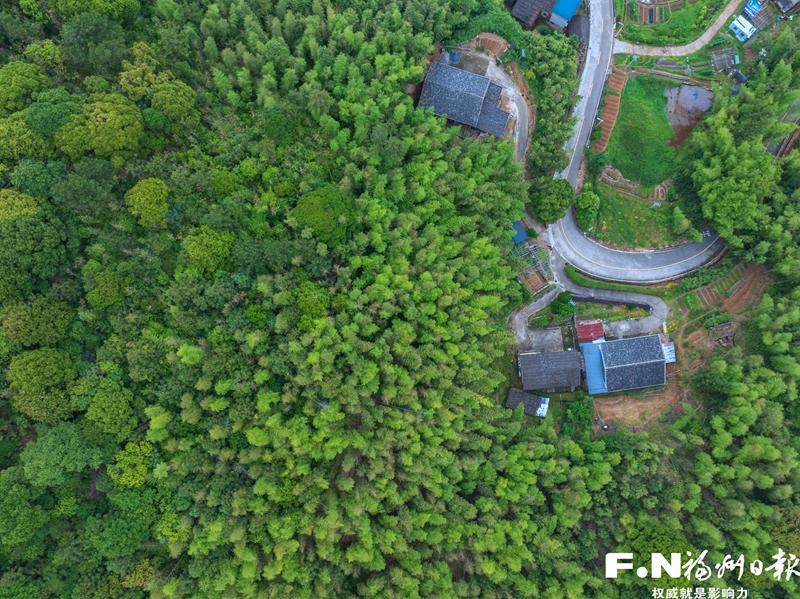 日溪畲乡绘新景 绿水青山带笑颜