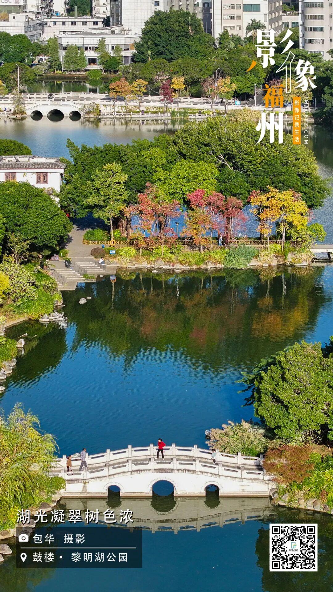 影像福州丨湖光凝翠树色浓