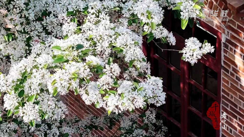 这一次，不得不去福州！