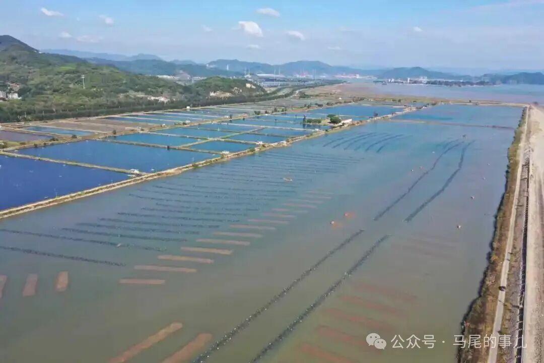 福州上新了!一口飙汁!初冬限定 福州上新了!一口飙汁!初冬限定