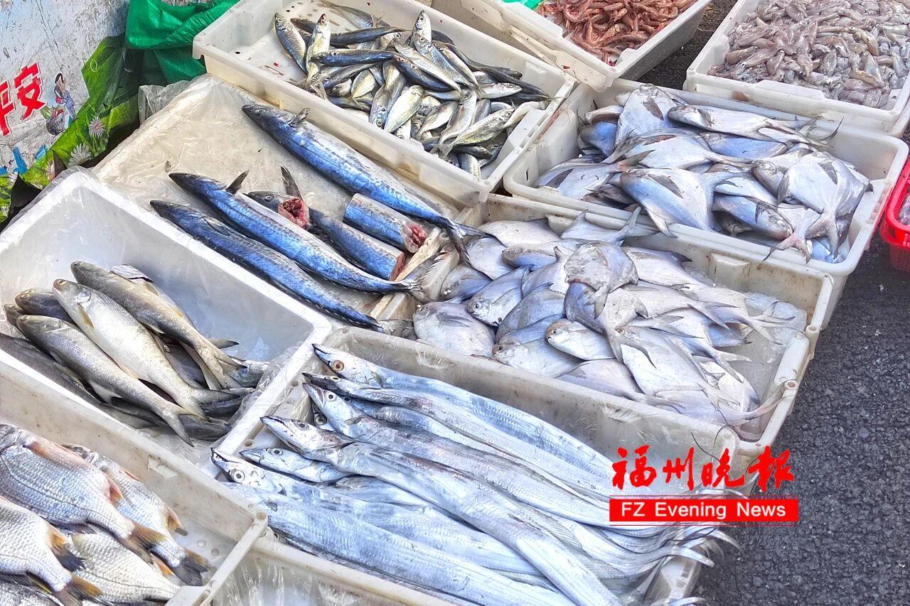 来福州 逛菜市 来福州 逛菜市