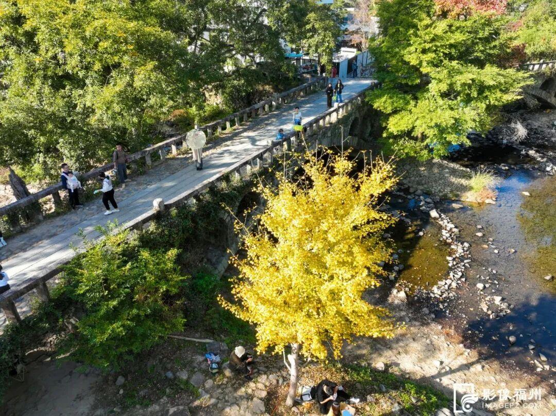 色彩斑斓！福州迎来红叶季