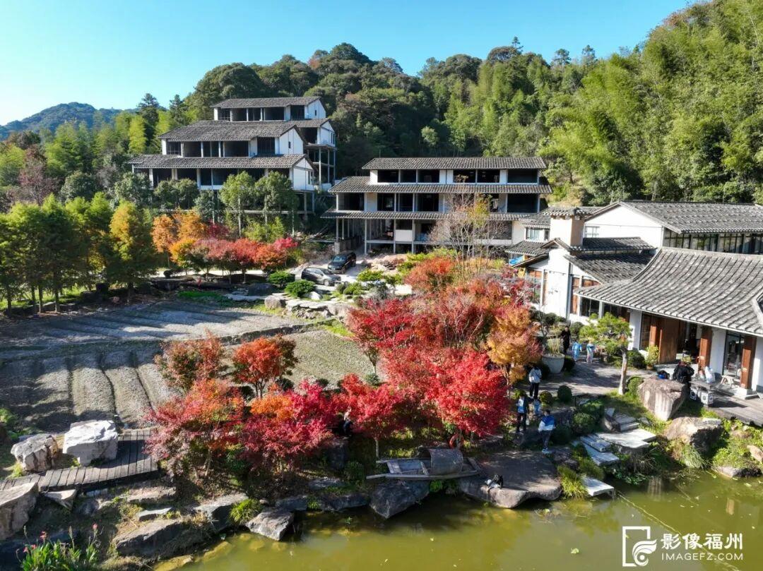 色彩斑斓！福州迎来红叶季