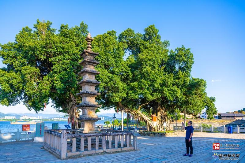 测测你的侯官“知己”是谁？点击看答案