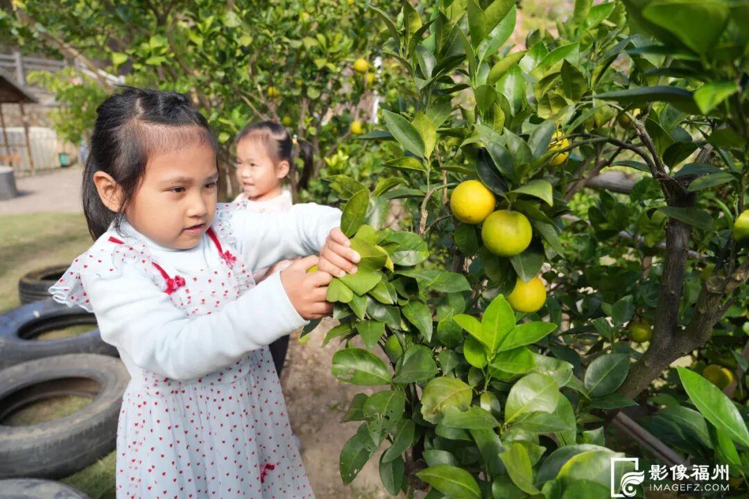 太好玩！福州这个幼儿园有座“花果山”
