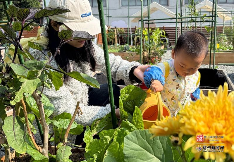 县在发生｜福州上演“空间魔术”！你家附近有这样的宝藏角落吗？
