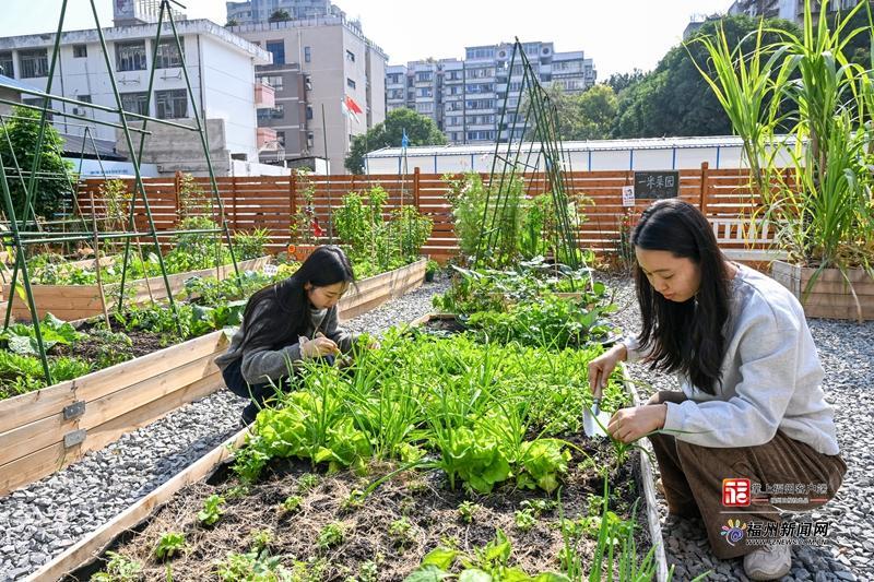 县在发生｜福州上演“空间魔术”！你家附近有这样的宝藏角落吗？