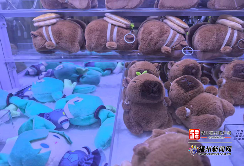 “问题娃娃”抓回家？福清开展专项整治行动