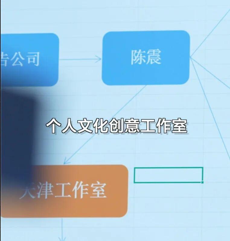 陈震偷税案细节公布 陈震偷税案细节公布