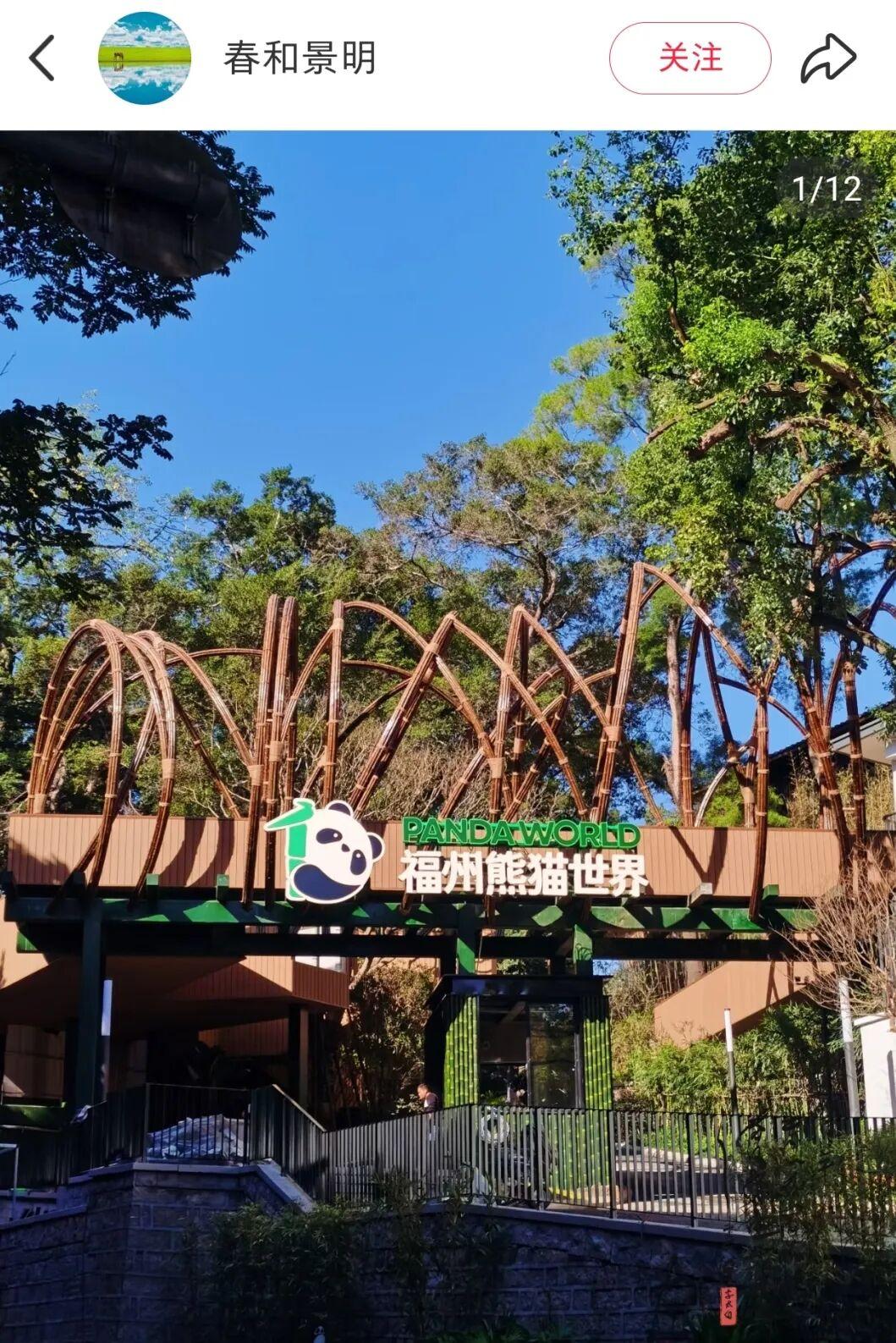 福州熊猫世界元旦开园？最新回应！