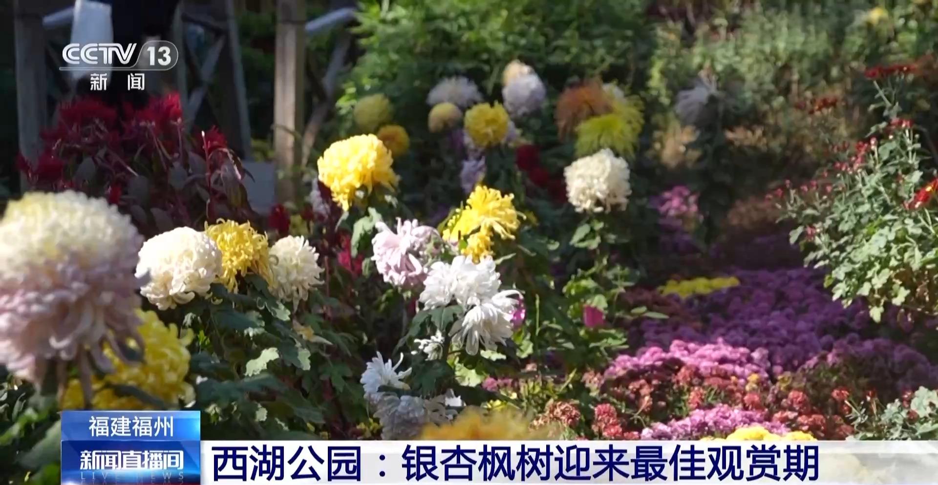 央视：定时“体检” 福州人的城市会客厅藏着“科技密码”