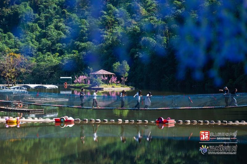 县在发生｜12年磨一剑！这个“宝藏农庄”，让乡村变成福州人打卡新宠