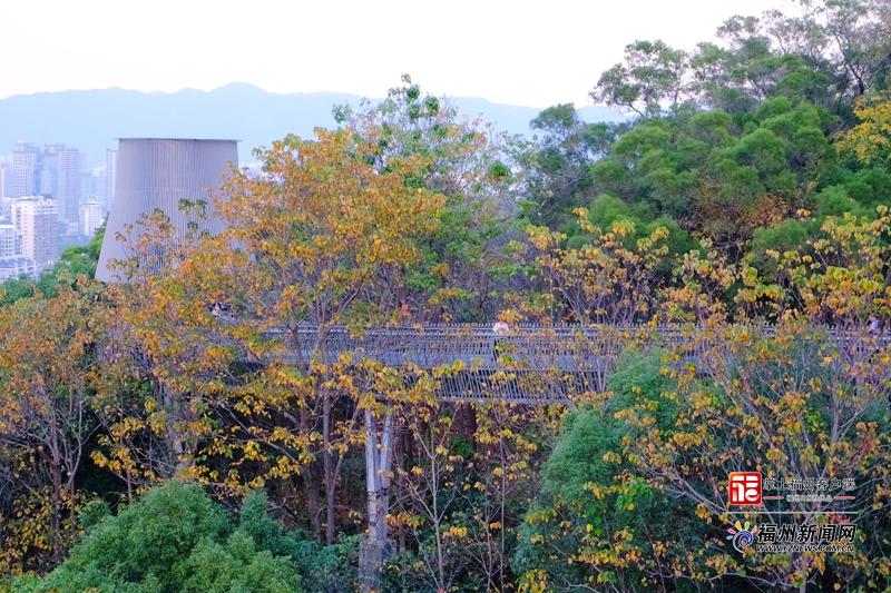 大雪日福道藏惊喜 四季风光随机“播放”