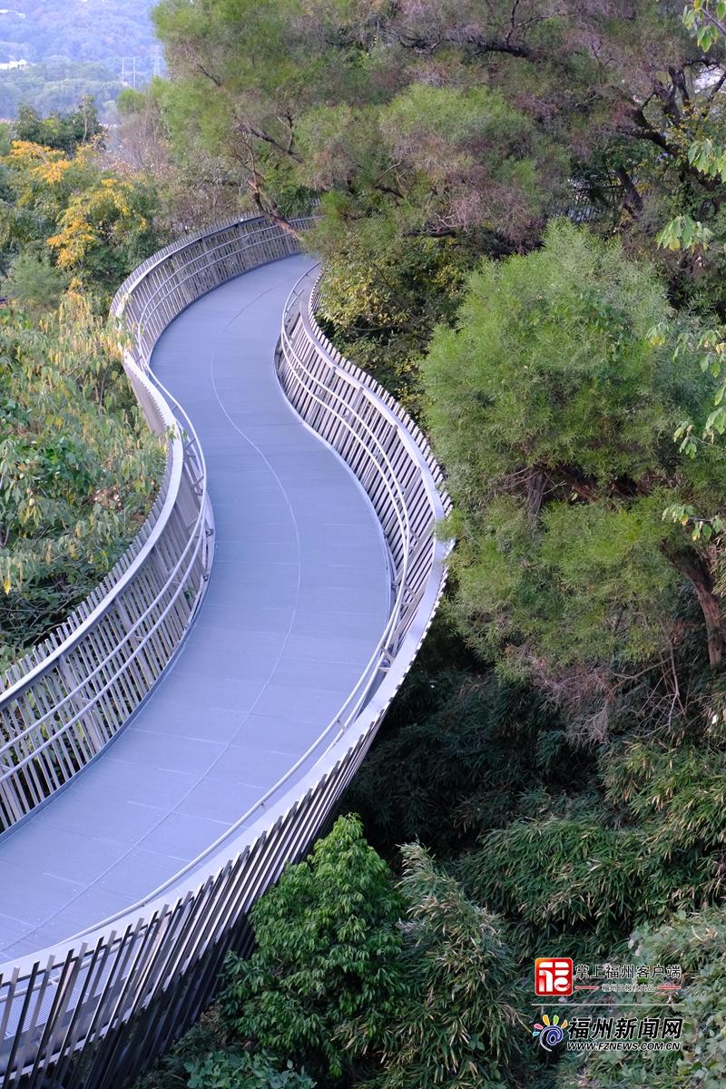 大雪日福道藏惊喜 四季风光随机“播放”