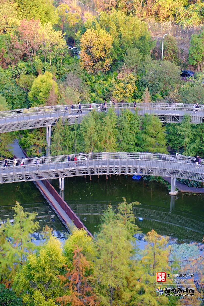 大雪日福道藏惊喜 四季风光随机“播放”