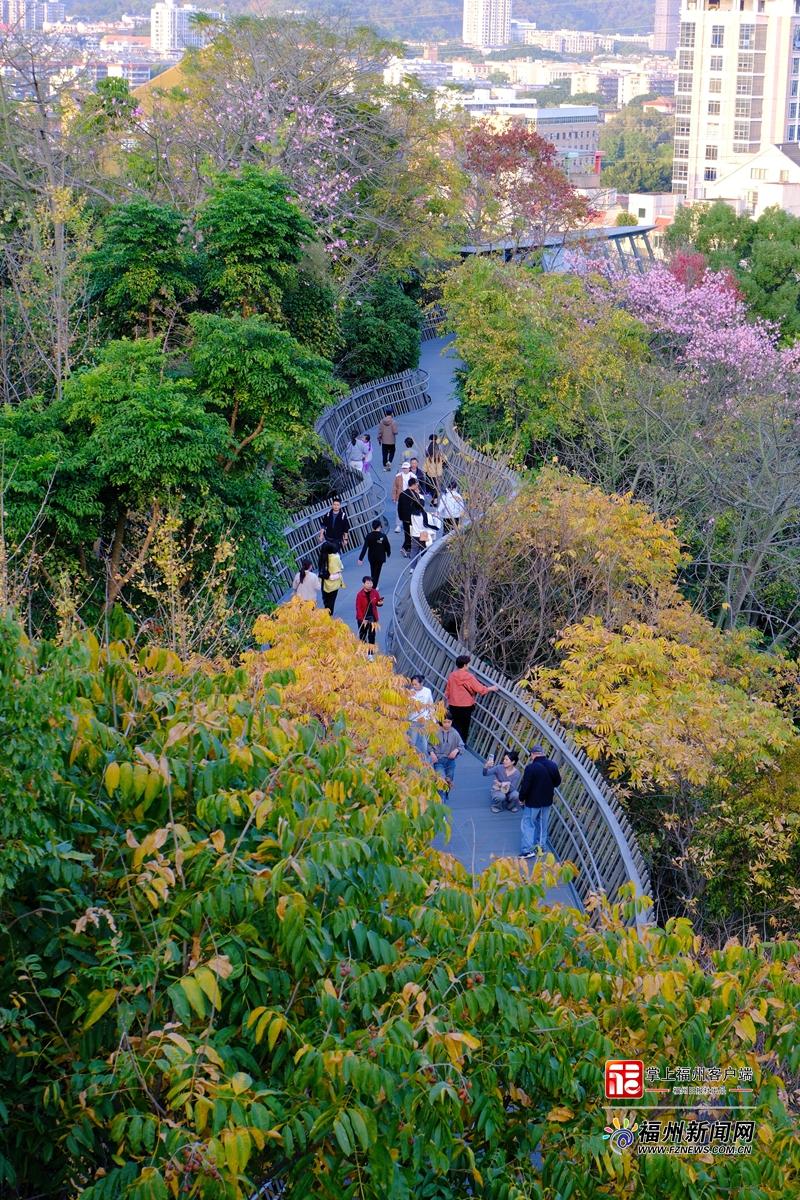 大雪日福道藏惊喜 四季风光随机“播放”