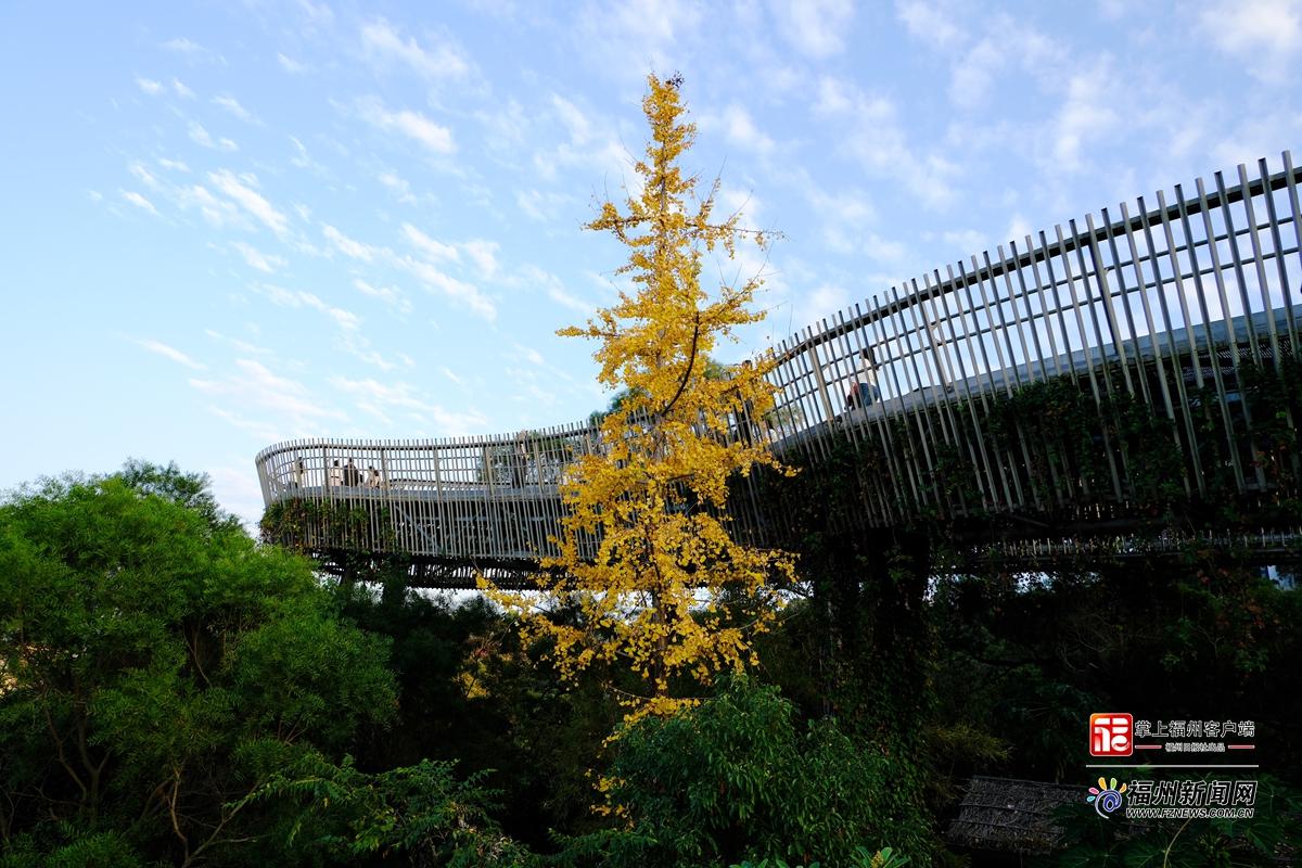 大雪日福道藏惊喜 四季风光随机“播放”