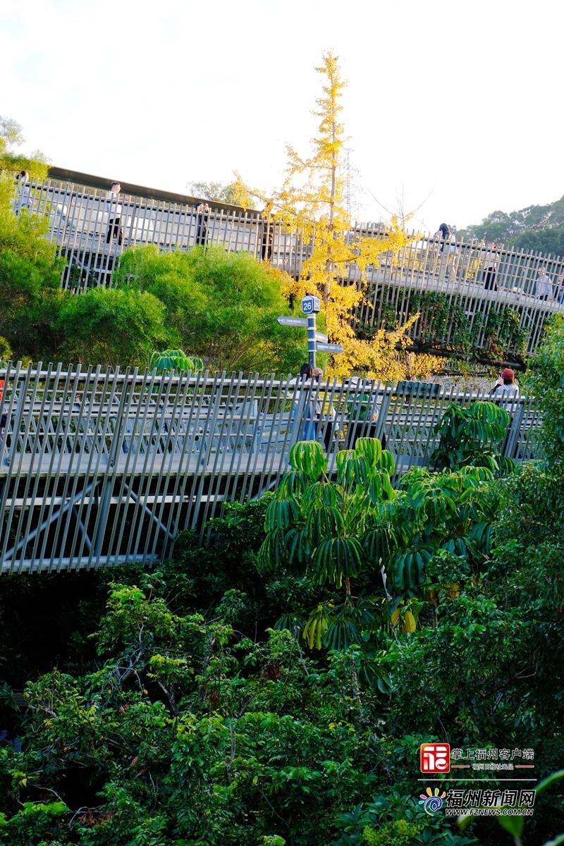 大雪日福道藏惊喜 四季风光随机“播放”