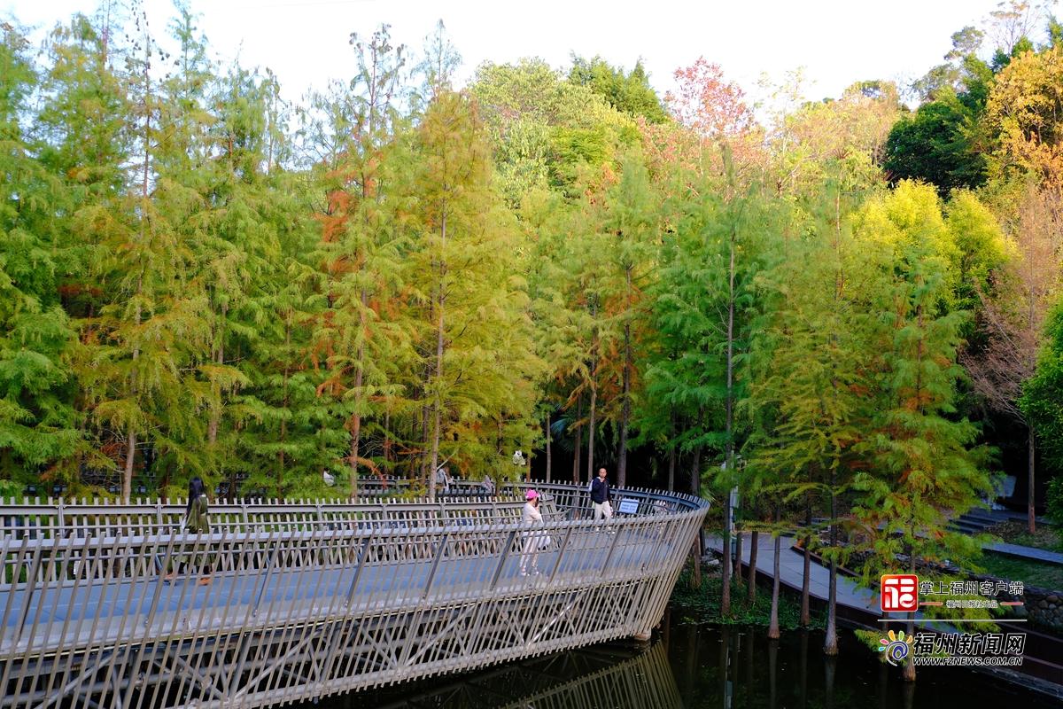 大雪日福道藏惊喜 四季风光随机“播放”