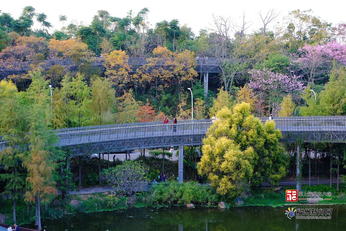 大雪日福道藏惊喜 四季风光随机“播放”