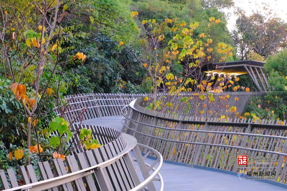 大雪日福道藏惊喜 四季风光随机“播放”