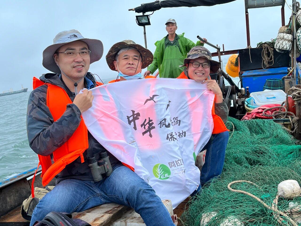 “神话之鸟”的归来神话