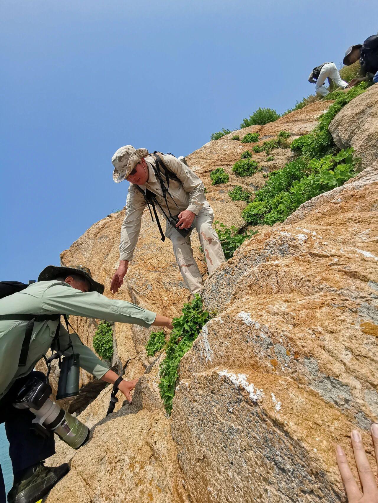 “神话之鸟”的归来神话