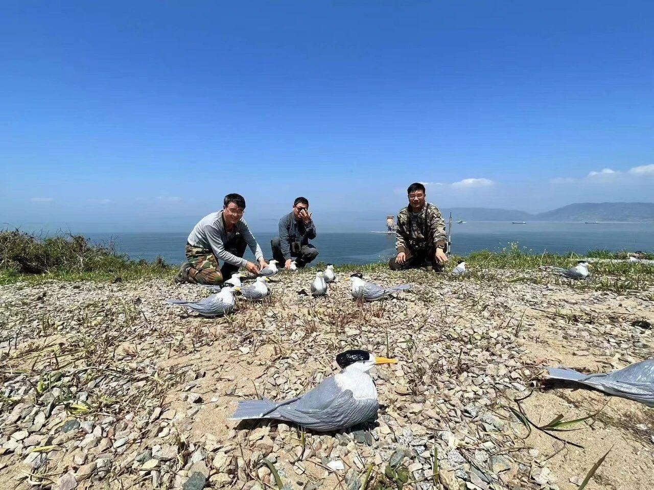 “神话之鸟”的归来神话