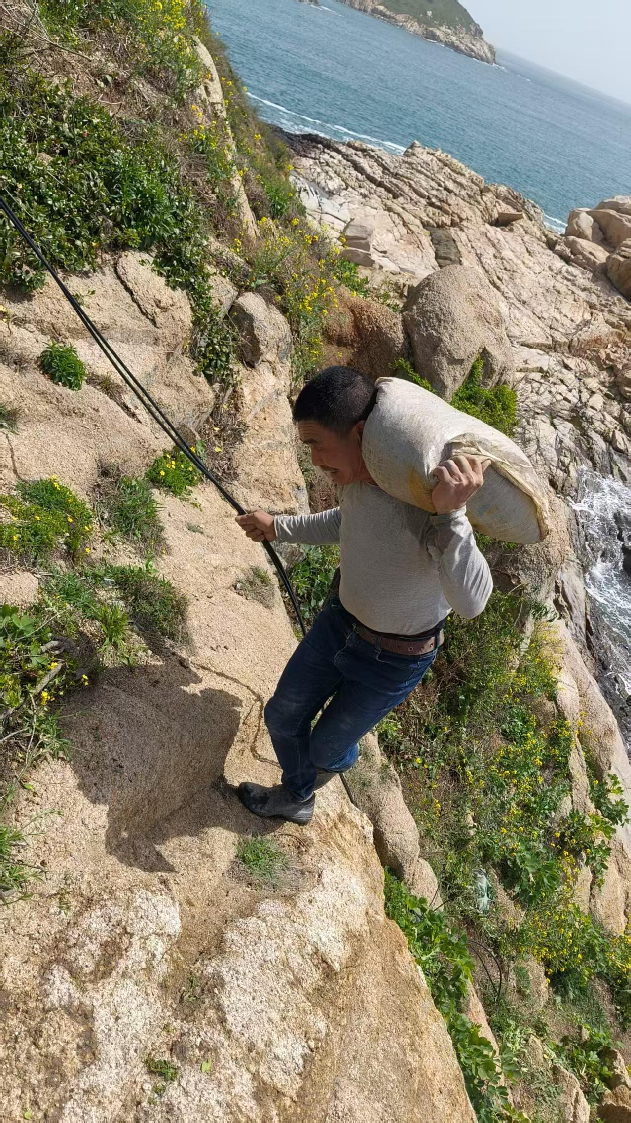 “神话之鸟”的归来神话