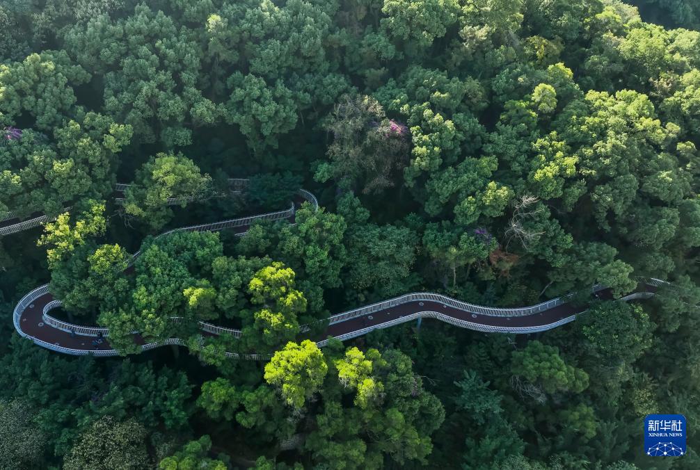 福州：冬韵斑斓