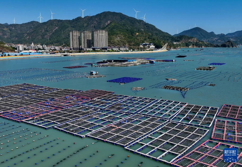 福州：冬韵斑斓