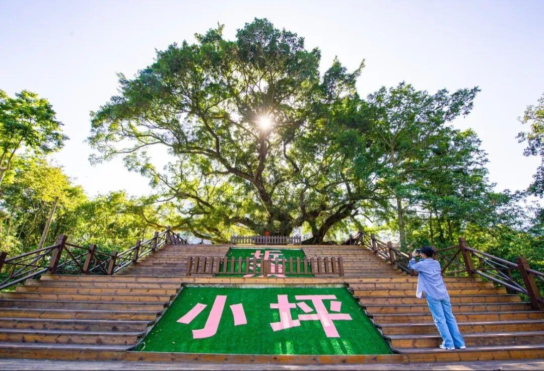休闲农业精品线路 | 福州市永泰县：山水共融 美食流香