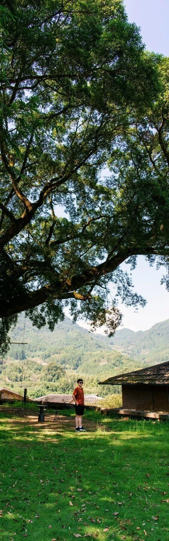 休闲农业精品线路 | 福州市永泰县：山水共融 美食流香