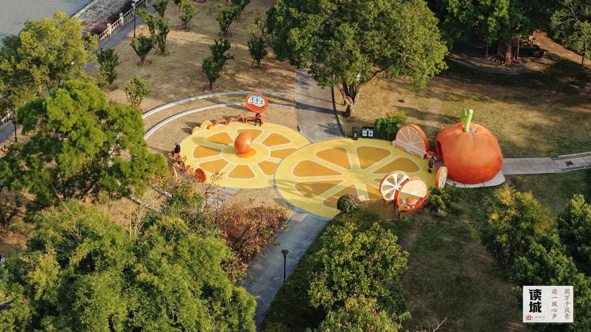 读城|闽江两岸橘子红了,那是福州的冬日乡愁 读城|闽江两岸橘子红了,那是福州的冬日乡愁