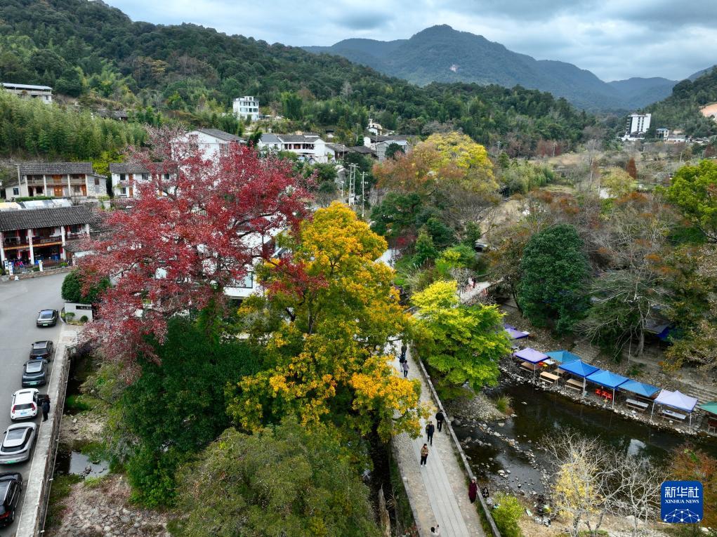 新华网关注：福州九峰村冬景迷人
