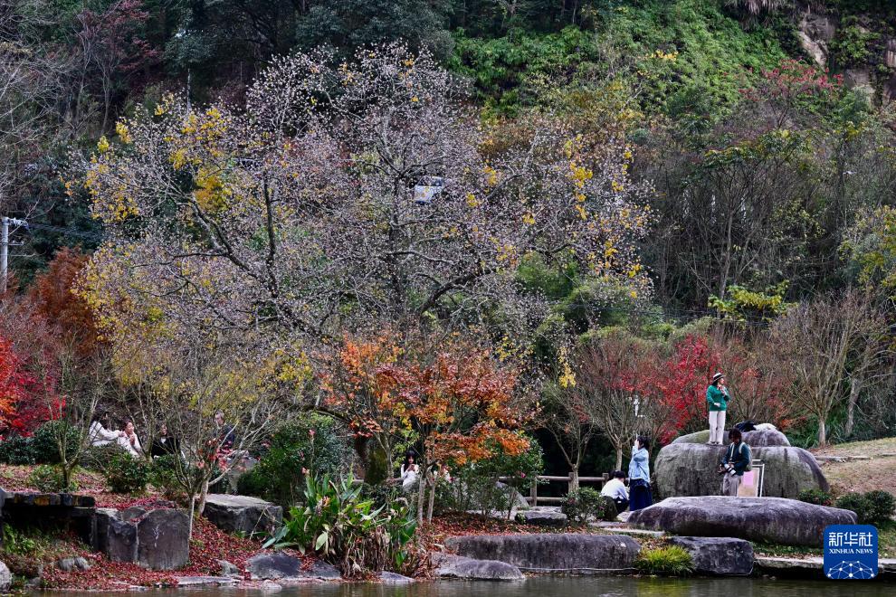 新华网关注：福州九峰村冬景迷人