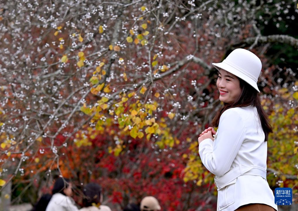 新华网关注：福州九峰村冬景迷人