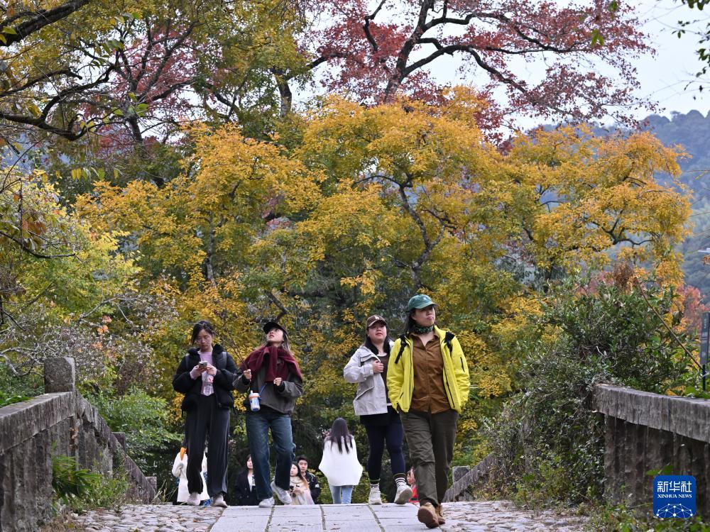 新华网关注：福州九峰村冬景迷人